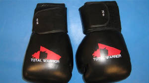glove.jpg